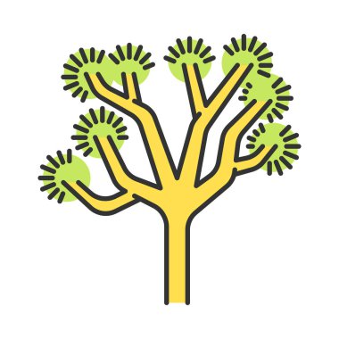 Joshua tree color icon. Yucca brevifolia. Desert plant. Palm tree yucca. Isolated vector illustration clipart