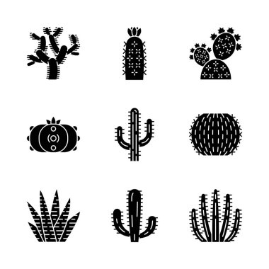 Vahşi kaktüsler glif simgeleri ayarlayın. Güney Amerika tropikal Flora. Sulu meyveler. Dikenli bitkiler. Cacti koleksiyonu. Siluet sembolleri. Vektör izole illüstrasyon