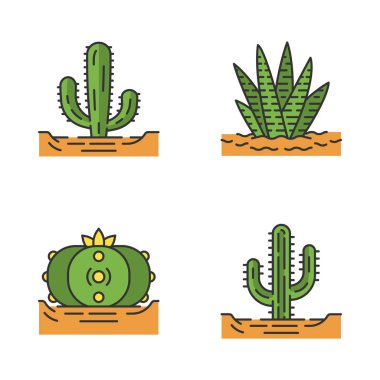 Zemin renk simgeleri vahşi kaktüsler ayarlayın. Tropikal succulents. Dikenli bitkiler. Meksika devi, saguaro, peyote, Zebra kaktüs. İzole vektör illüstrasyonları