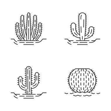 Toprak doğrusal simgeler vahşi kaktüsler ayarlayın. Sulu meyveler. Dikenli bitkiler. Varil kaktüs, saguaro, Meksikalı dev, organ boru kaktüs. İnce çizgi kontur sembolleri. İzole vektör anahat simgeleri. Düzenlenebilir kontur