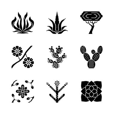 Çöl bitkiler glif simgeleri ayarlayın. Egzotik Flora. Amerikan sulu meyveler ve kuraklık dayanıklı bitkiler. Larrea, Palo Verde ağacı, Aloe Vera, Agave. Siluet sembolleri. Vektör izole illüstrasyon