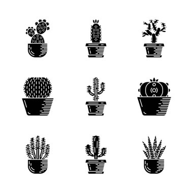 Tencerelerde cactuses glif simgeleri ayarlayın. Meksika tropikal Flora. Sulu meyveler. Dikenli bitkiler. Cacti Bahçe koleksiyonu. Siluet sembolleri. Vektör izole illüstrasyon