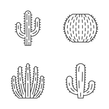 Vahşi kaktüs doğrusal simgeler ayarlayın. Sulu meyveler. Cacti koleksiyonu. Saguaro, organ borusu, Meksikalı dev ve varil cactuses. İnce çizgi kontur sembolleri. İzole vektör anahat illüstrasyonları. Düzenlenebilir kontur