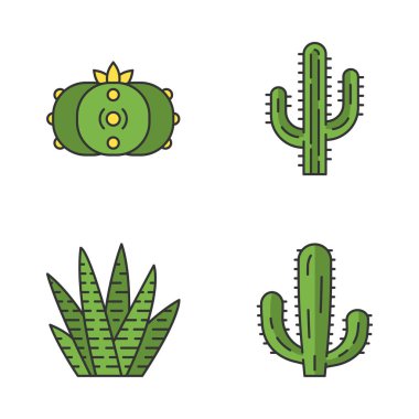 Vahşi kaktüs renk simgeleri ayarlayın. Sulu meyveler. Cacti koleksiyonu. Saguaro, peyote, Meksikalı dev ve Zebra cactuses. İzole vektör illüstrasyonları
