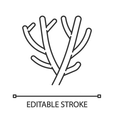 Kalem kaktüs doğrusal simgesi. Afrikalı çöl fabrikası. Hint ağacı spurge. Etli. Süt çalı. Euphorbia tirucalli. İnce çizgi çizimi. Kontur sembolü. Vektör izole anahat çizimi. Düzenlenebilir kontur