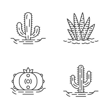 Wild cactuses in ground linear icons set. Tropical succulents. Spiny plants. Mexican giant, saguaro, peyote, zebra cactus. Thin line contour symbols. Isolated vector outline icons. Editable stroke clipart