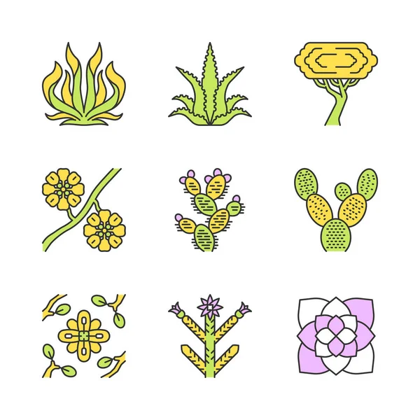 Set Iconos Color Plantas Del Desierto Flora Exótica Suculentas Americanas — Archivo Imágenes Vectoriales