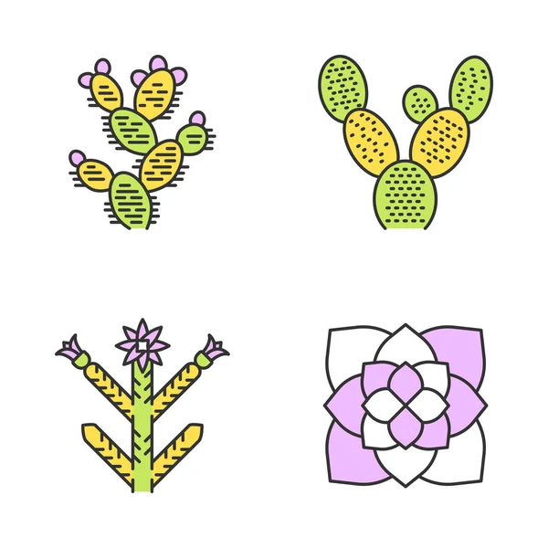 Desert Plantes Icônes Couleur Ensemble Flore Exotique Cactus Oreille Lapin — Image vectorielle