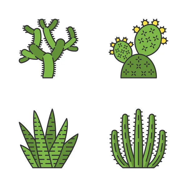Ensemble Icônes Couleur Cactus Sauvage Des Succulents Verts Flore Mexicaine — Image vectorielle