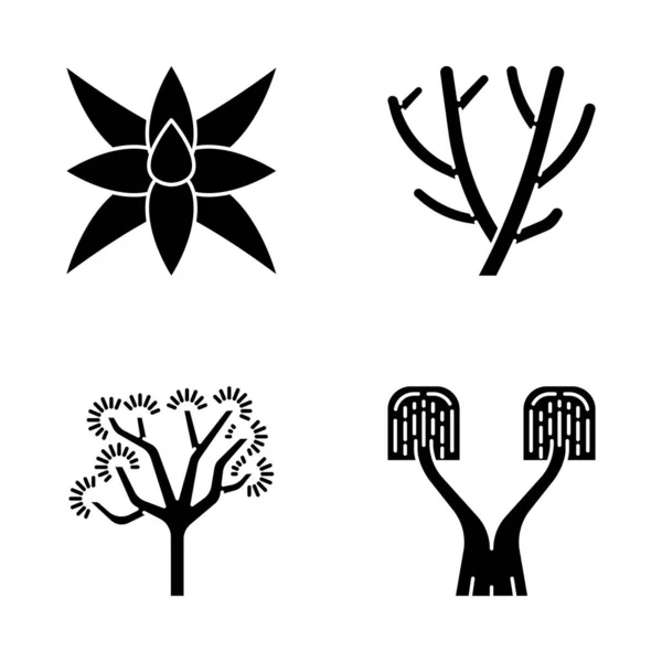 Desert Plants Glyph Icons Set Exotic Flora Fox Tale Agave — Stock Vector