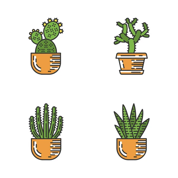 House Cacti Pot Color Icons Set Succulents Spiny Plants Prickly — Stock Vector
