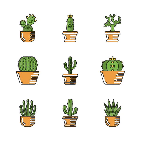 Cactussen Potten Kleur Iconen Set Mexicaanse Tropische Flora Vetplanten Stekelige — Stockvector
