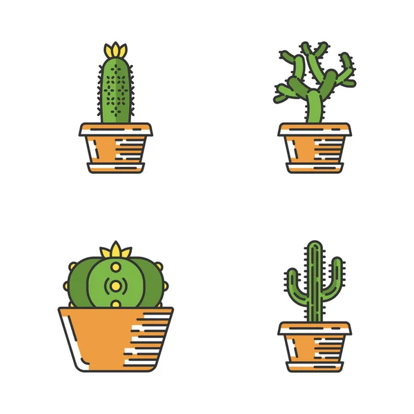 Wilde Cactussen Pot Kleur Iconen Set Vetplanten Teddy Beer Cholla — Stockvector