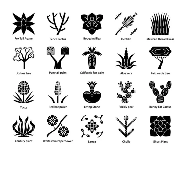 沙漠植物字形图标集合 异国情调的植物群 加州沙漠仙人掌 草和树木 美国和墨西哥多汁 剪影符号 向量被隔绝的例证 — 图库矢量图片