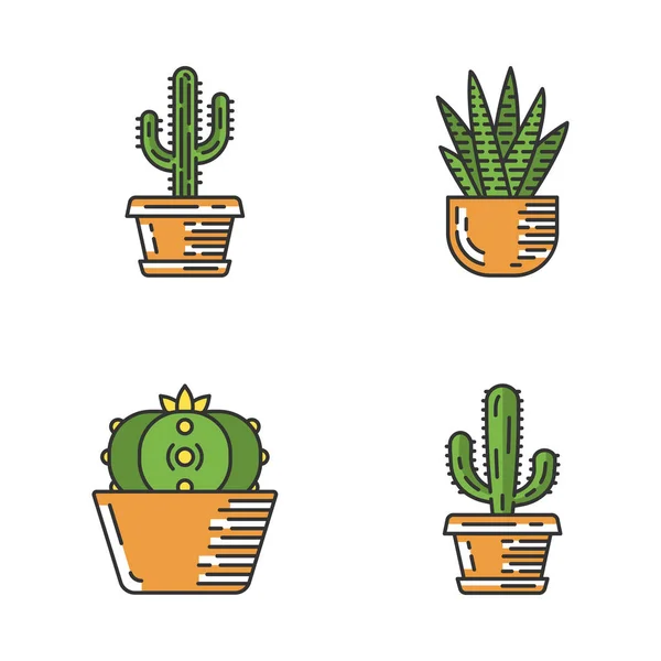 Wilde Cactus Pot Kleur Iconen Set Sappige Zebra Cactus Peyote — Stockvector