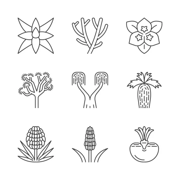 Desert Plants Linear Icons Set Exotic Flora Yuccas Cacti Palms — Stock Vector