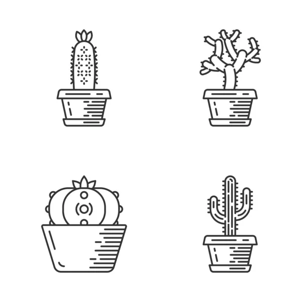 Cactus Casalinghi Vaso Set Icone Lineari Succulente Teddy Bear Cholla — Vettoriale Stock