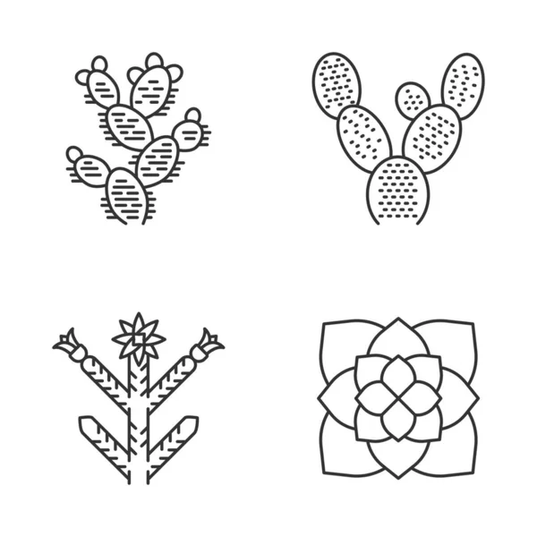 Desert Plants Linear Icons Set Exotic Flora Bunny Ear Cactus — Stock Vector