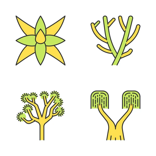 Desert Plants Color Icons Set Exotic Flora Fox Tale Agave — Stock Vector