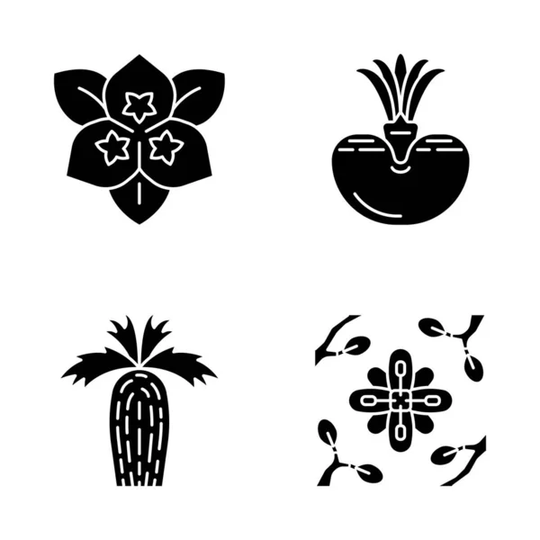 Desert Plants Glyph Icons Set Exotic Flora Bougainville — Stock Vector