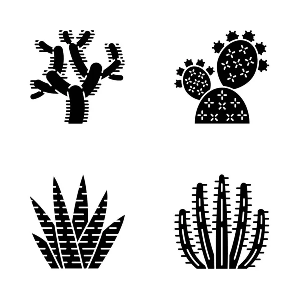 Jeu Icônes Glyphe Cactus Sauvage Des Succulents Verts Flore Mexicaine — Image vectorielle