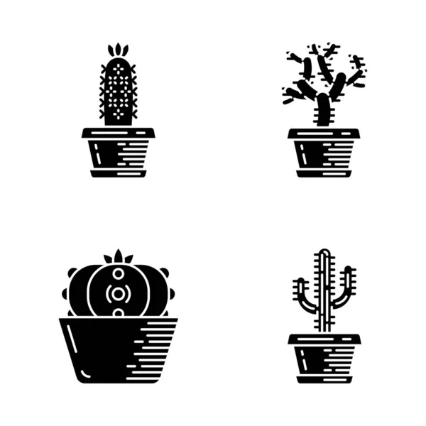 Accueil Cactus Pot Icônes Glyphe Ensemble Succulents Ours Peluche Cholla — Image vectorielle