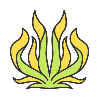 Yüzyıl bitki renk simgesi. Agave Americana. Çöl succulent. Amerikan Aloe. Çim çalı. Yosun. İzole vektör illüstrasyon