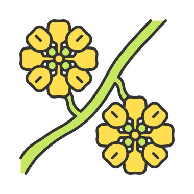 Whitestem artelişleriglitterkelebekleranneler renk simgesi. Psilostrophe cooperi. Cooper kağıt papatya. Çiçeklenme. Meksika ve Amerikan egzotik çiçek. İzole vektör illüstrasyon