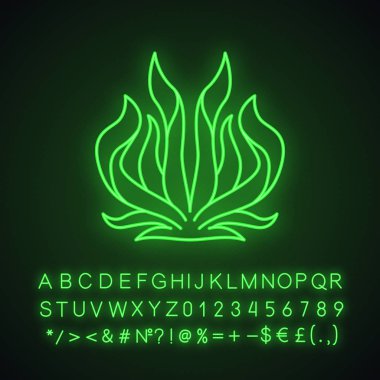 Yüzyıl bitki neon ışık simgesi