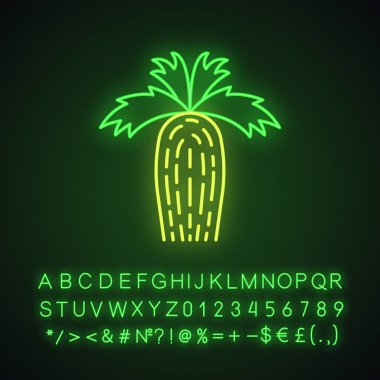 California fan palmiye neon ışık simgesi