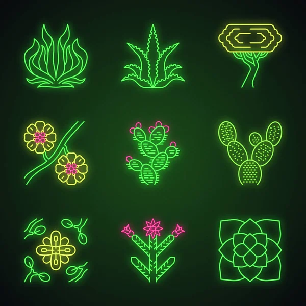 Desert plants neon light icons set — Stock Vector