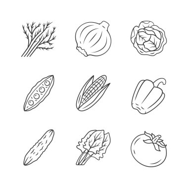 Sebzeler doğrusal simgeler ayarlanır. Lahana, pancar, mısır, domates, biber. Vitamin ve diyet. Sağlıklı beslenme. İnce çizgi kontur sembolleri. Yalıtılmış vektör anahat çizimleri. Kullanılabilir kontur
