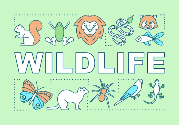 Wildlife Word Konzepte Banner — Stockvektor