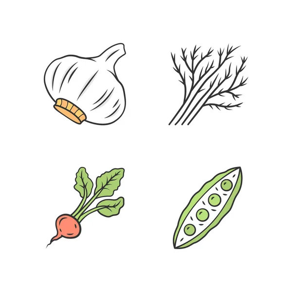 Grönsaker färg ikoner som — Stock vektor