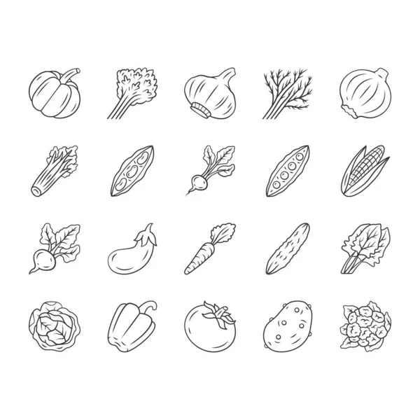 Zestaw ikon liniowych warzyw — Wektor stockowy