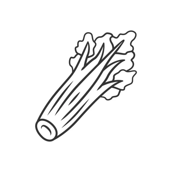 Celery linear icon — Stock Vector