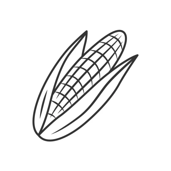 Icône linéaire de maïs — Image vectorielle