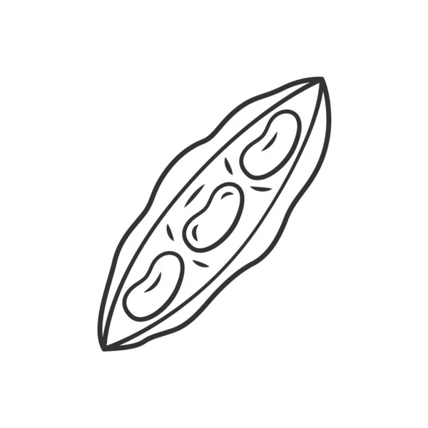 Haricot icône linéaire — Image vectorielle