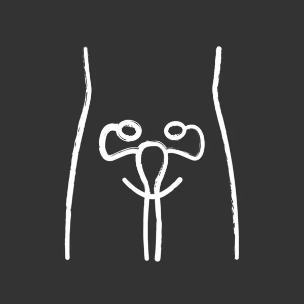 Mulheres saudáveis ícone giz sistema reprodutivo. Órgão humano em gosma —  Vetores de Stock