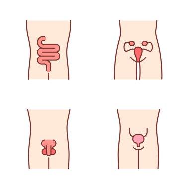 Sağlıklı insan organları renk simgeleri ayarlayın. Bağırsaklar ve idrar bla