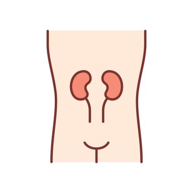 Sağlıklı böbrekler renk simgesi. İnsan organı nın sağlığı yerinde. İnsanlar w