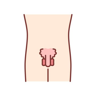 Hasta erkekler üreme sistemi renk simgesi. İnsan organı ağrıyor. Insanlar