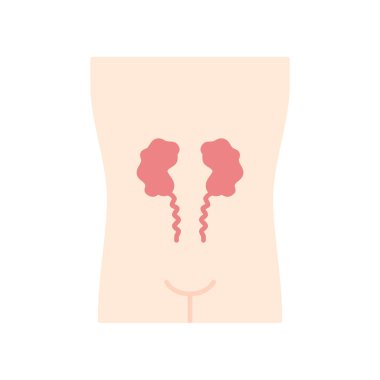 Hasta böbrekler düz tasarım uzun gölge renk simgesi. cevher insan organı.