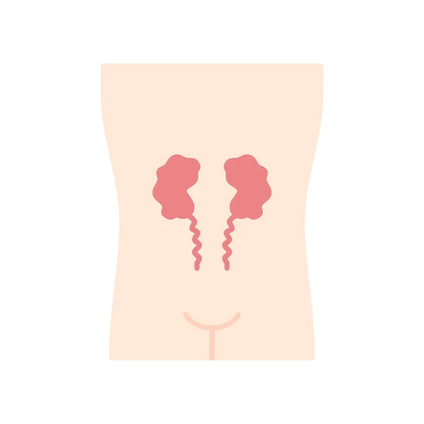 Kranke Nieren flaches Design lange Schatten Farbsymbol. menschliches Organ. — Stockvektor