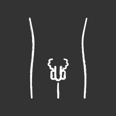 Hasta erkekler üreme sistemi tebeşir simgesi. İnsan organı ağrıyor. Insanlar