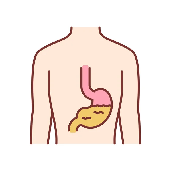 Icono de color del estómago saludable. Órgano humano en buena salud. Personas w — Archivo Imágenes Vectoriales