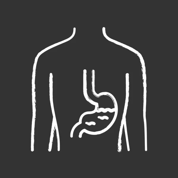 Icona del gesso dello stomaco sano. Organo interno umano in buona salute. Benessere delle persone. Sistema digestivo funzionante. Tratto gastrointestinale sano. Illustrazione della lavagna vettoriale isolata — Vettoriale Stock
