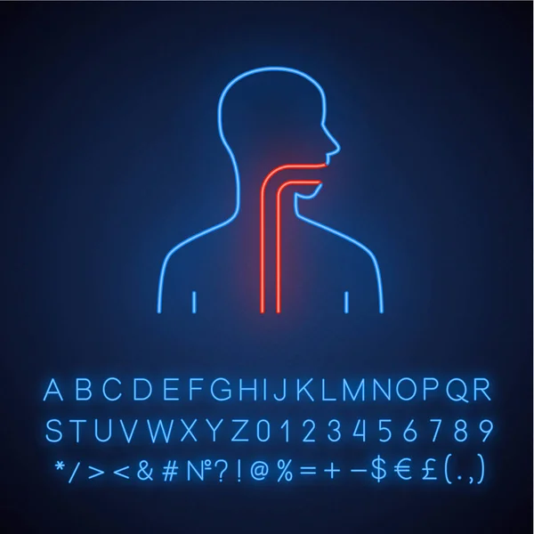 Friska halsen neonljus ikon. Munhålan, svalget och esophag — Stock vektor