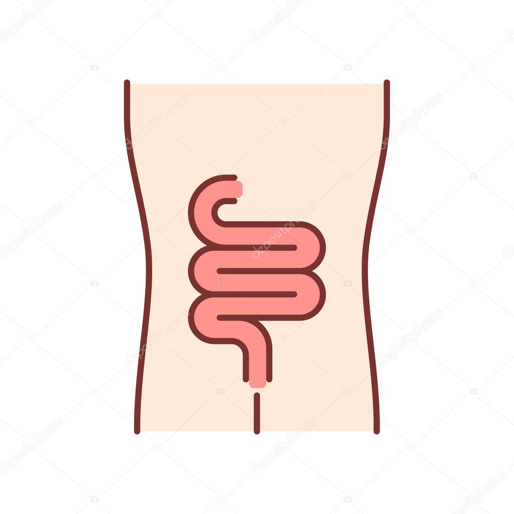 Healthy intestine color icon. Human organ in good health. Functi