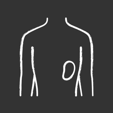 Sağlıklı dalak tebeşir simgesi. İnsan organı nın sağlığı yerinde. İnsanlar biz